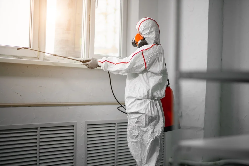 Professional mold remediation services in Gnadenhutten, OH